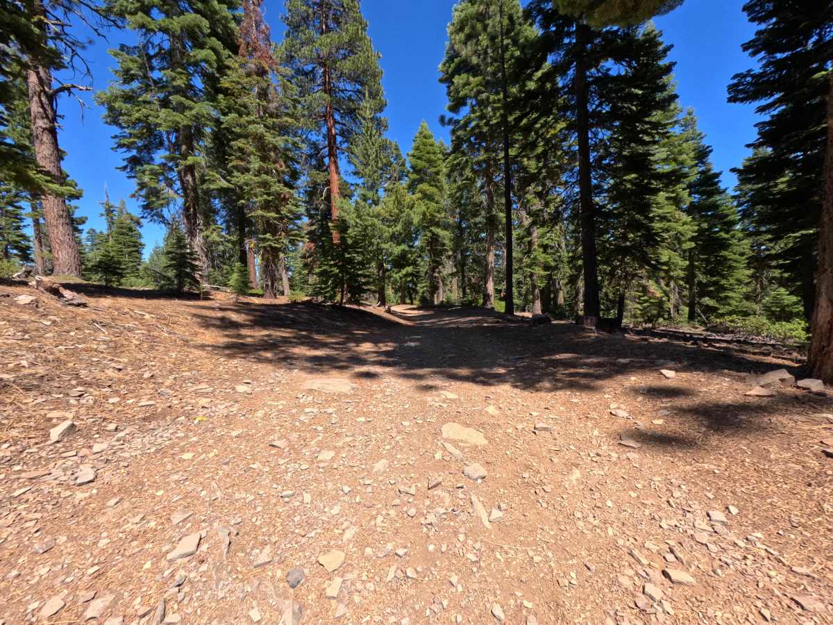 Shivagiri Extension -  FS 16N95 trail photo