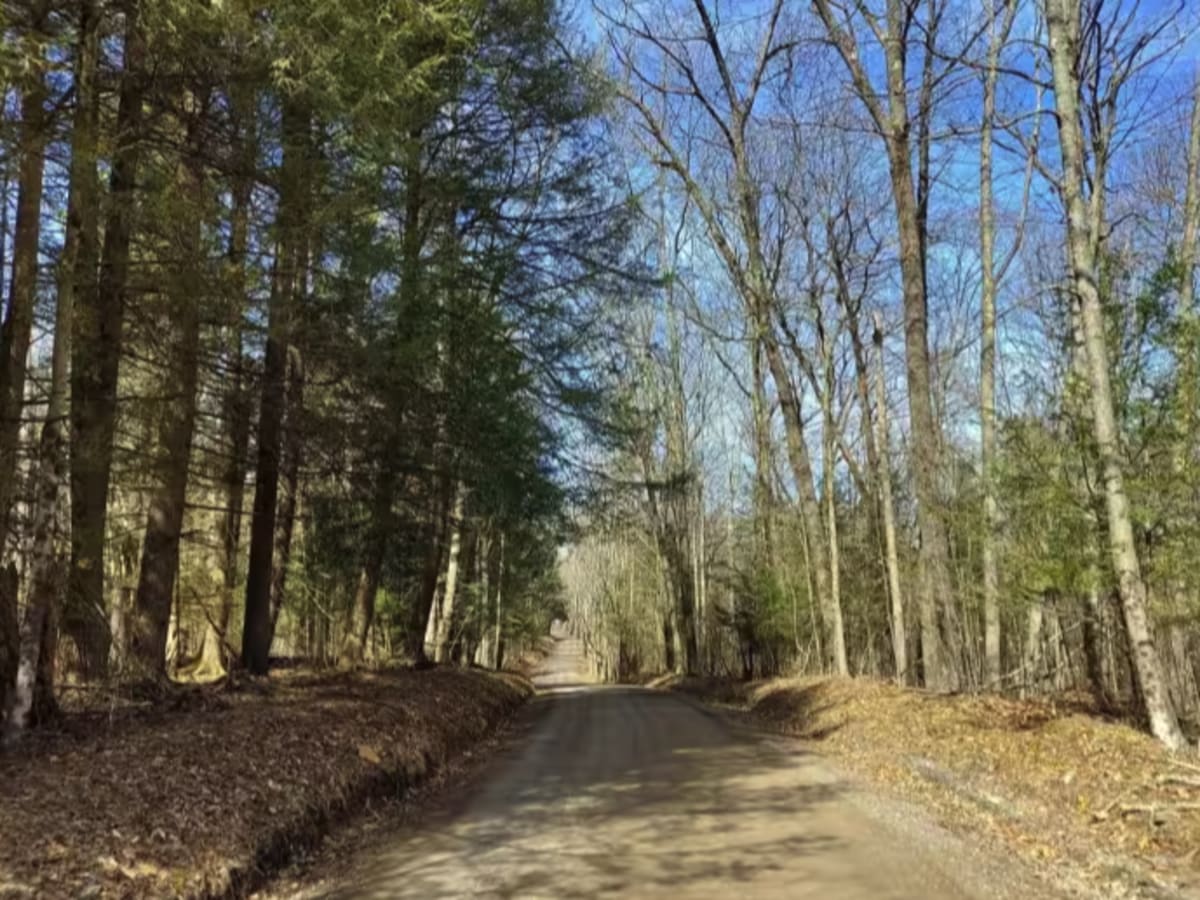 Gray Hill Road photo 2