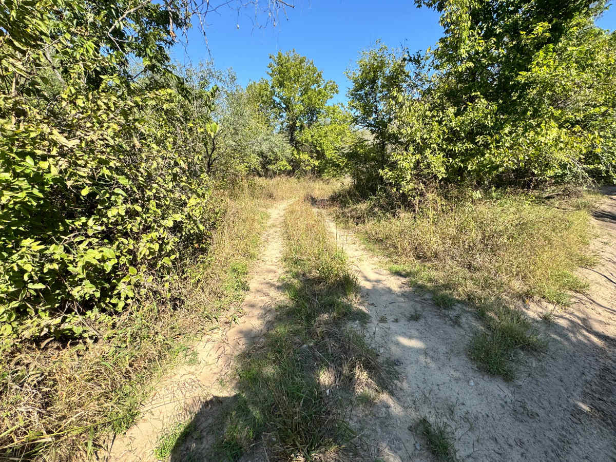 Floor Jack Flats trail photo