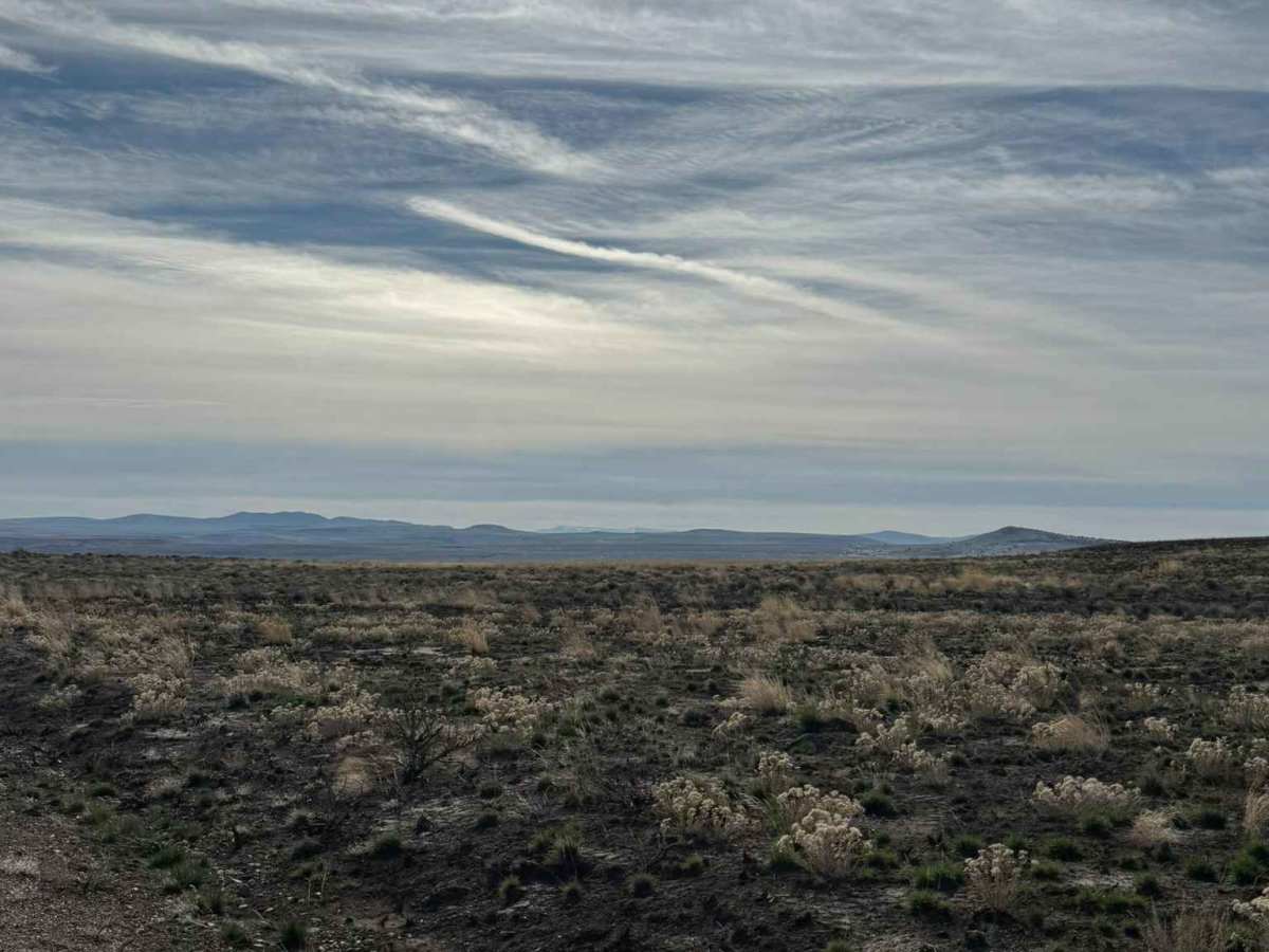 Sheldon Wildlife Refuge & Yellow Peak  photo 4