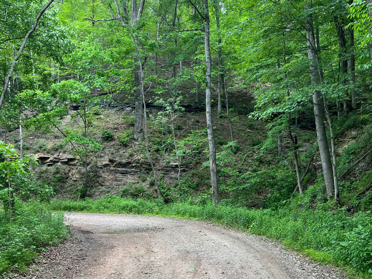 Q74 trail photo