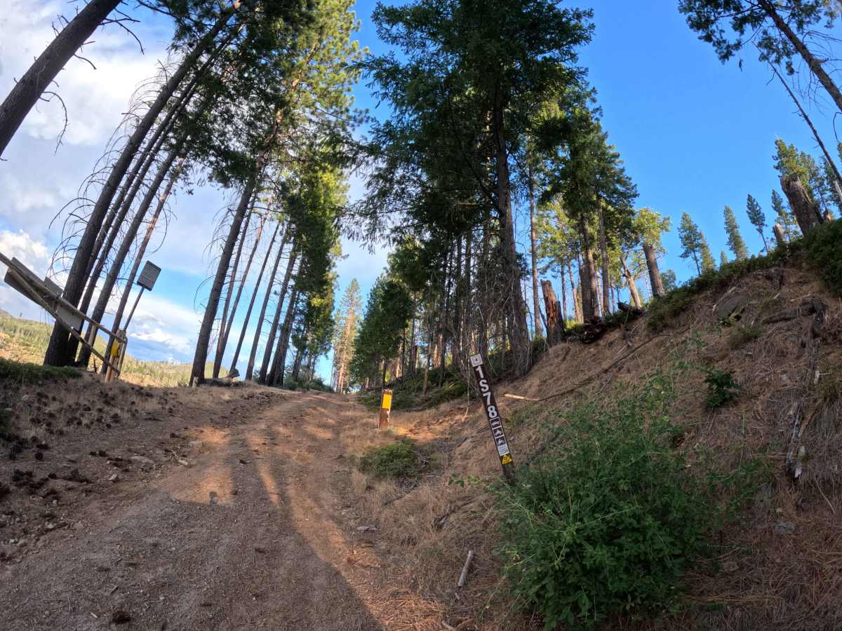 FS 1S78 trail photo