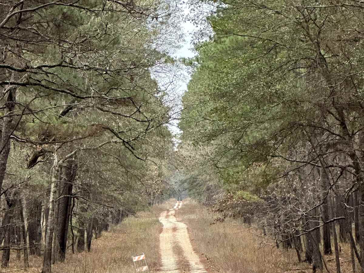 Perry Williams - FS 219A trail photo