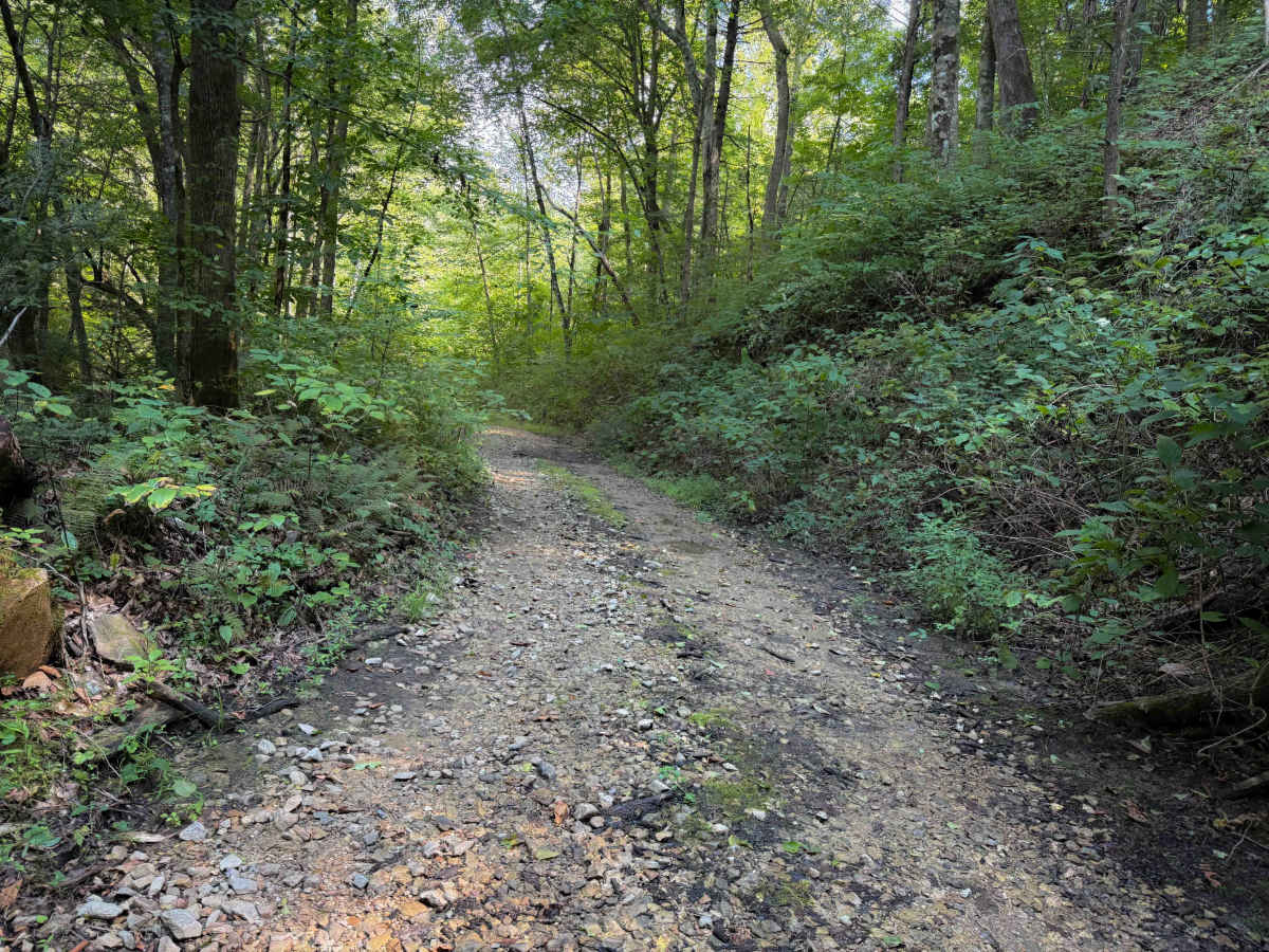 SW22 photo 4