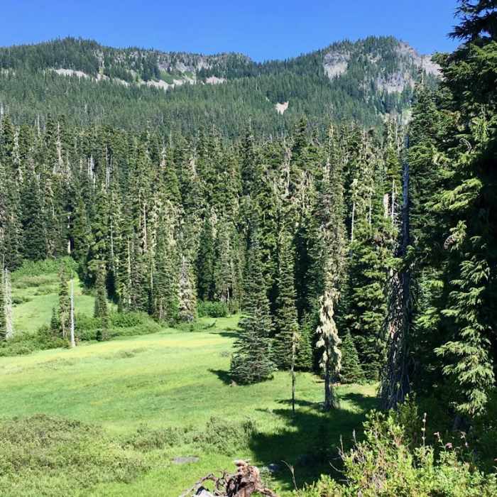 Near Pamelia Lake to PCT Loop