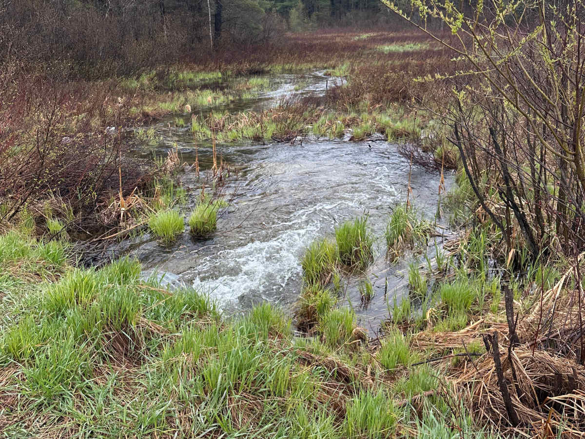 Kolke Creek Trail photo 4