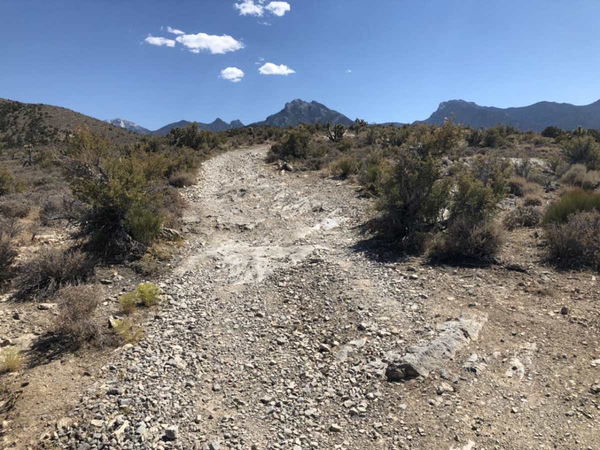 Mud Springs Road photo 3