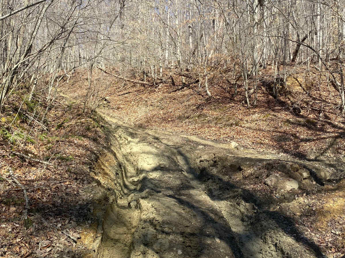 Barnes Buck Road photo 4