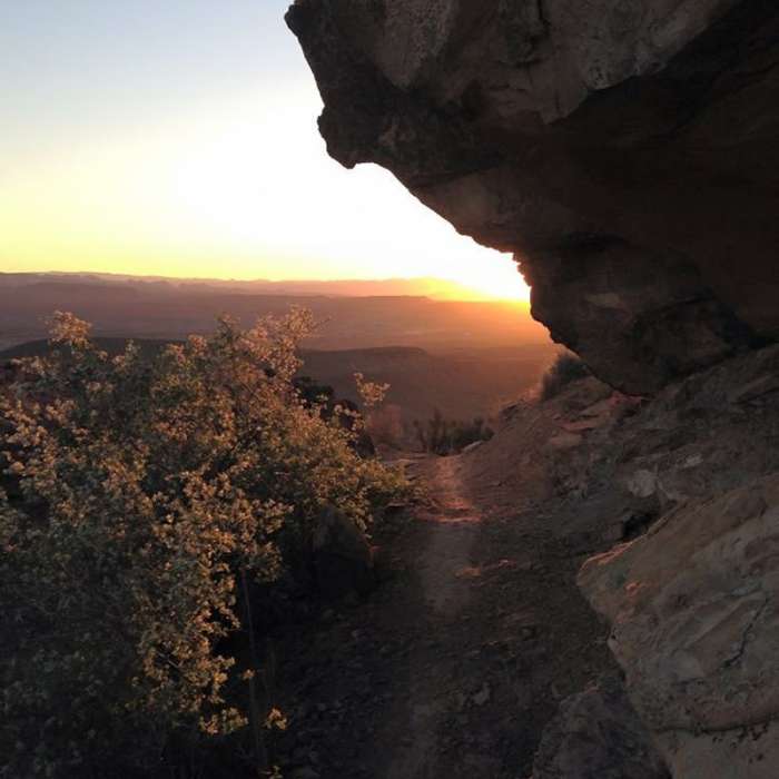 Sunrise on the climb up to the Mesa. Suicidal Tendencies Trail Near Precipice, Sidewinder, & Suicidal Tendencies