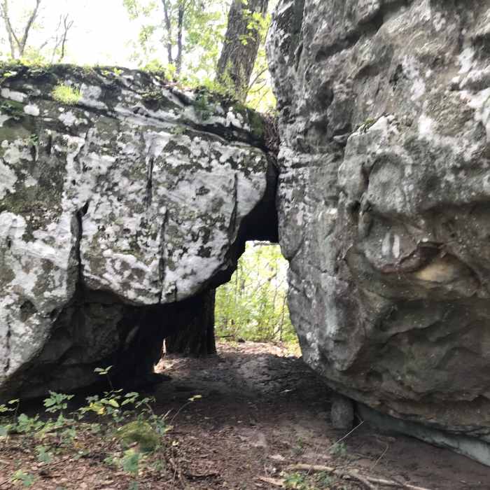 Near Grassy Cove Out and Back