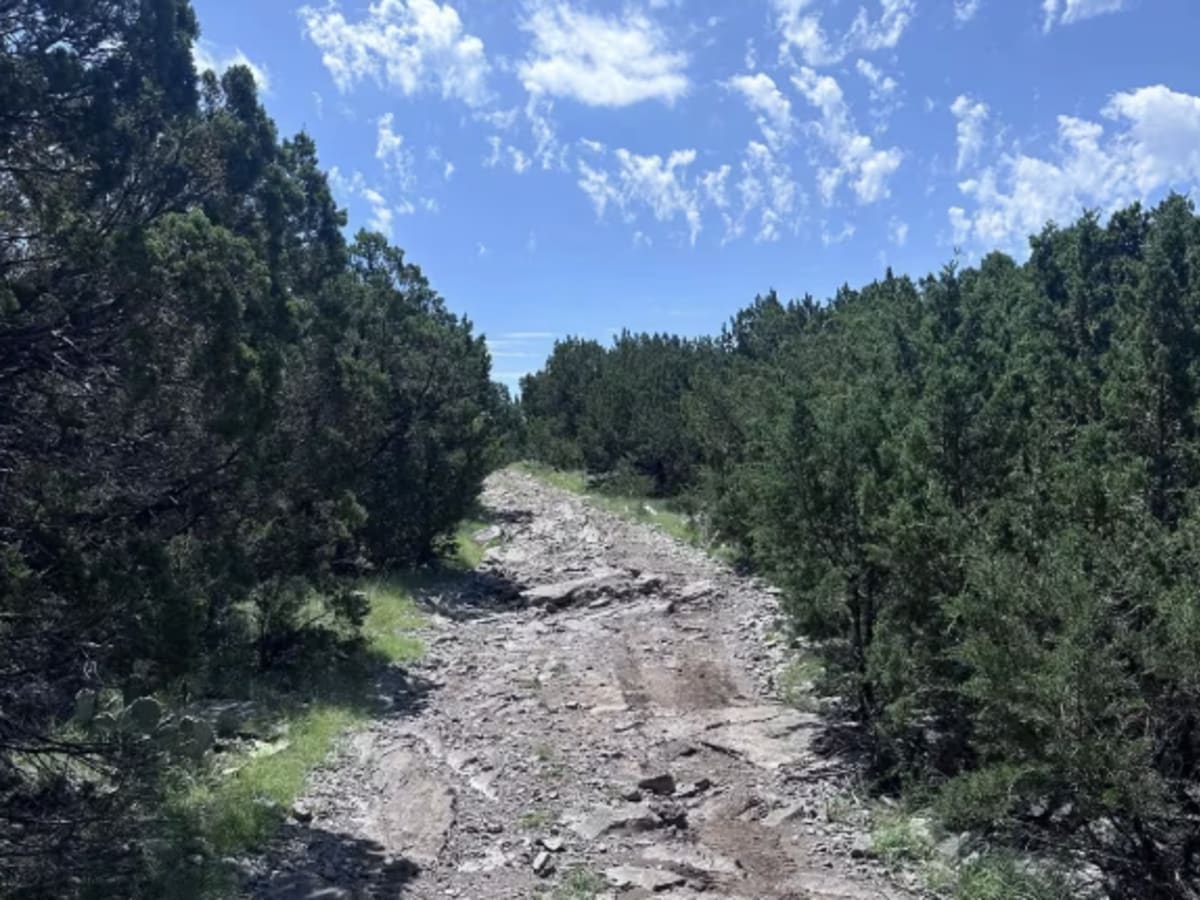 Powerline 2nd Segment photo 5