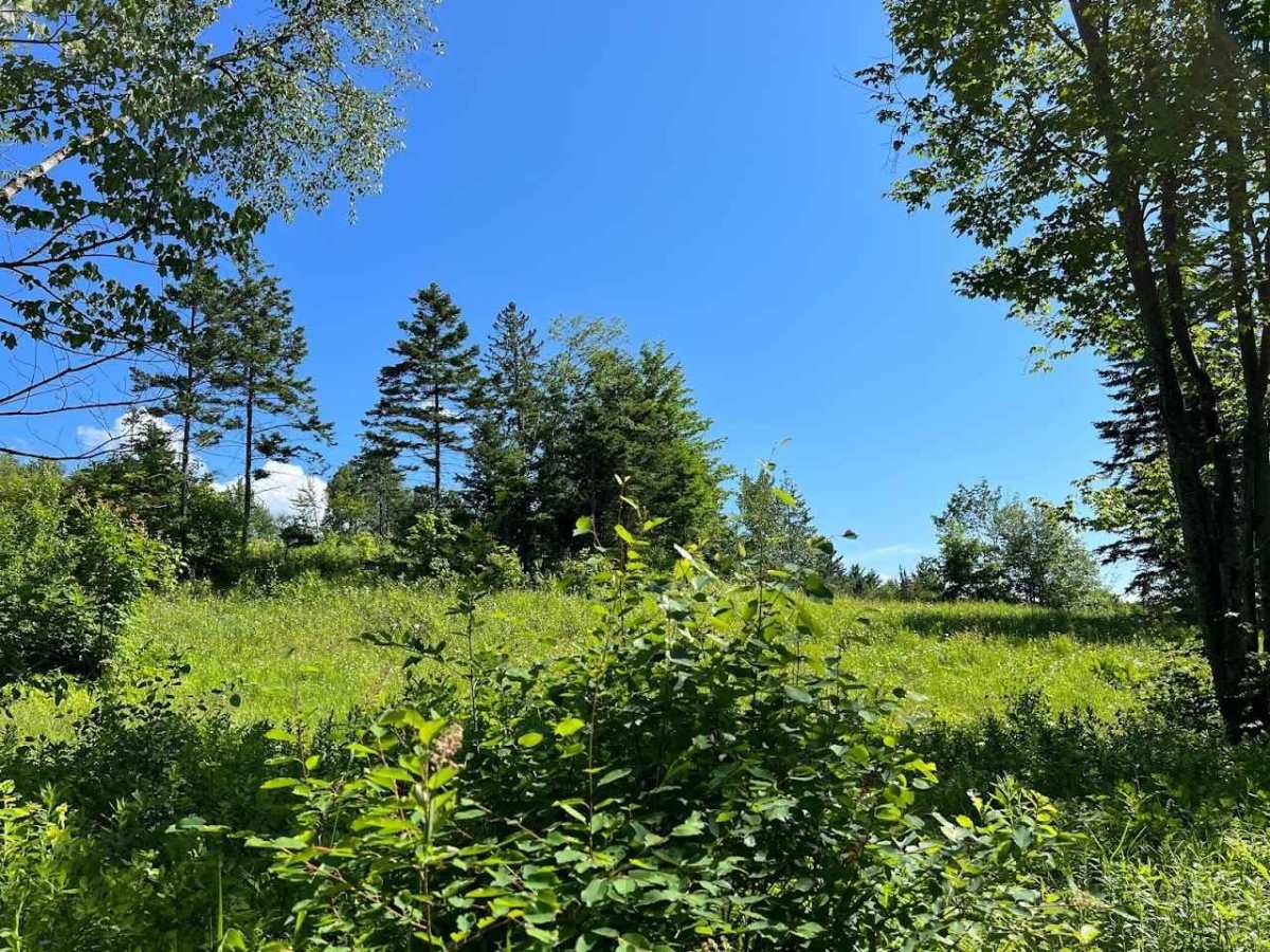 Wheeler Mountain Road photo 6