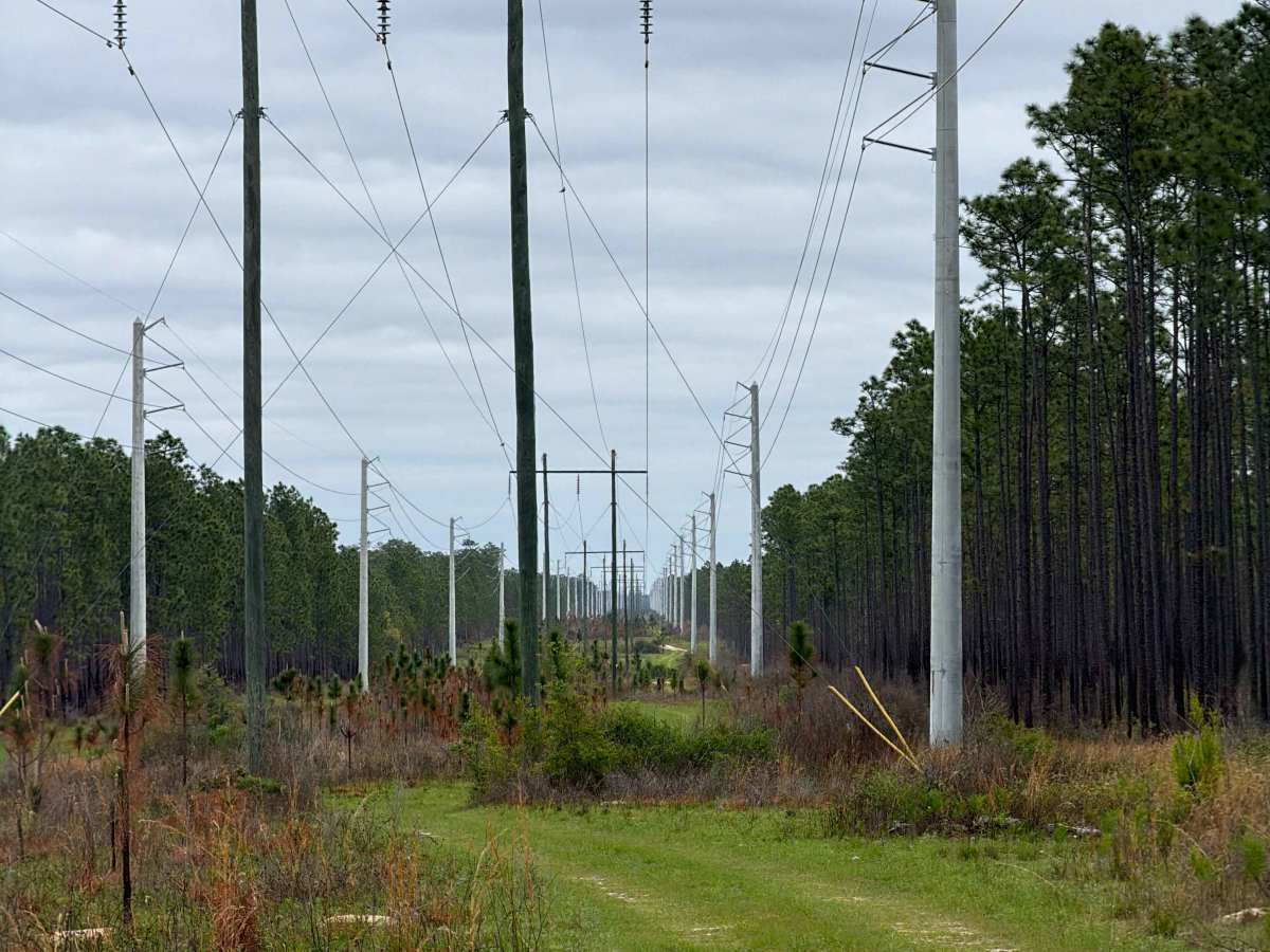 J 54 trail photo