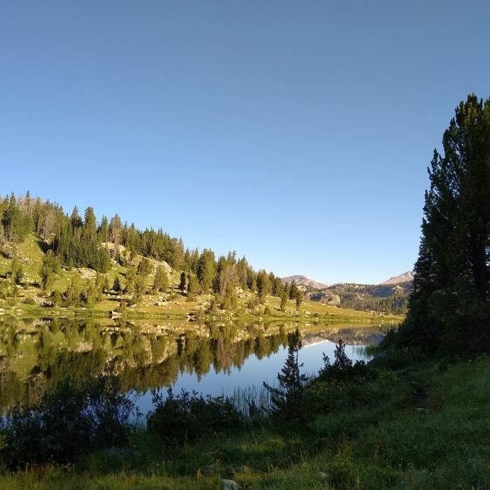 Near Spruce Lake Connector