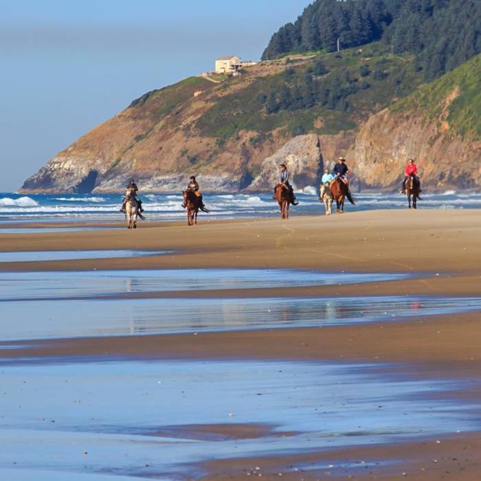 Near Oregon Coast Trail Section 6