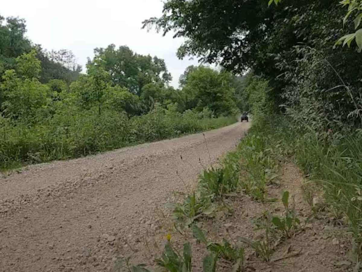 Southeast Minnesota Trail photo 6