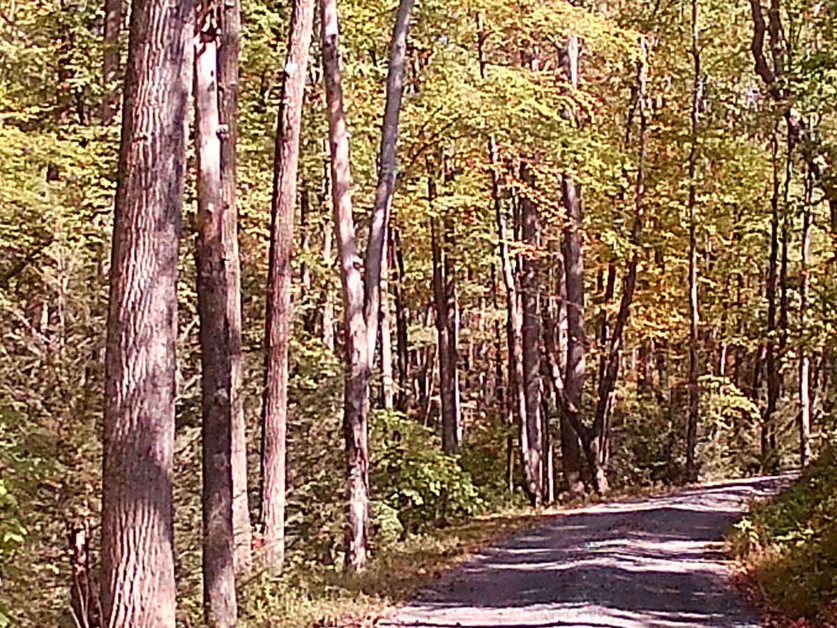 Spruce Mountain Road photo 3