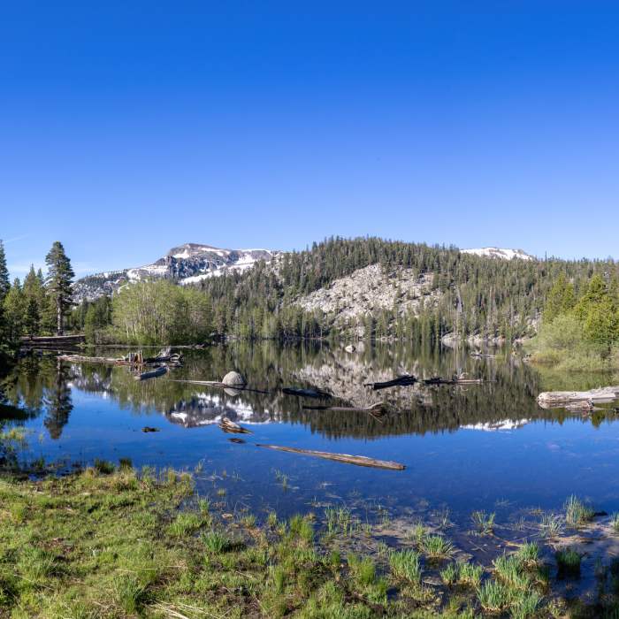 Near Scotts Lake Trail