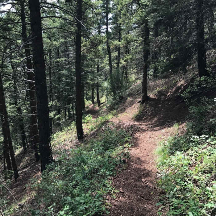 Chautauqua Trail climbing the northern ridge. Near Chautauqua Trail