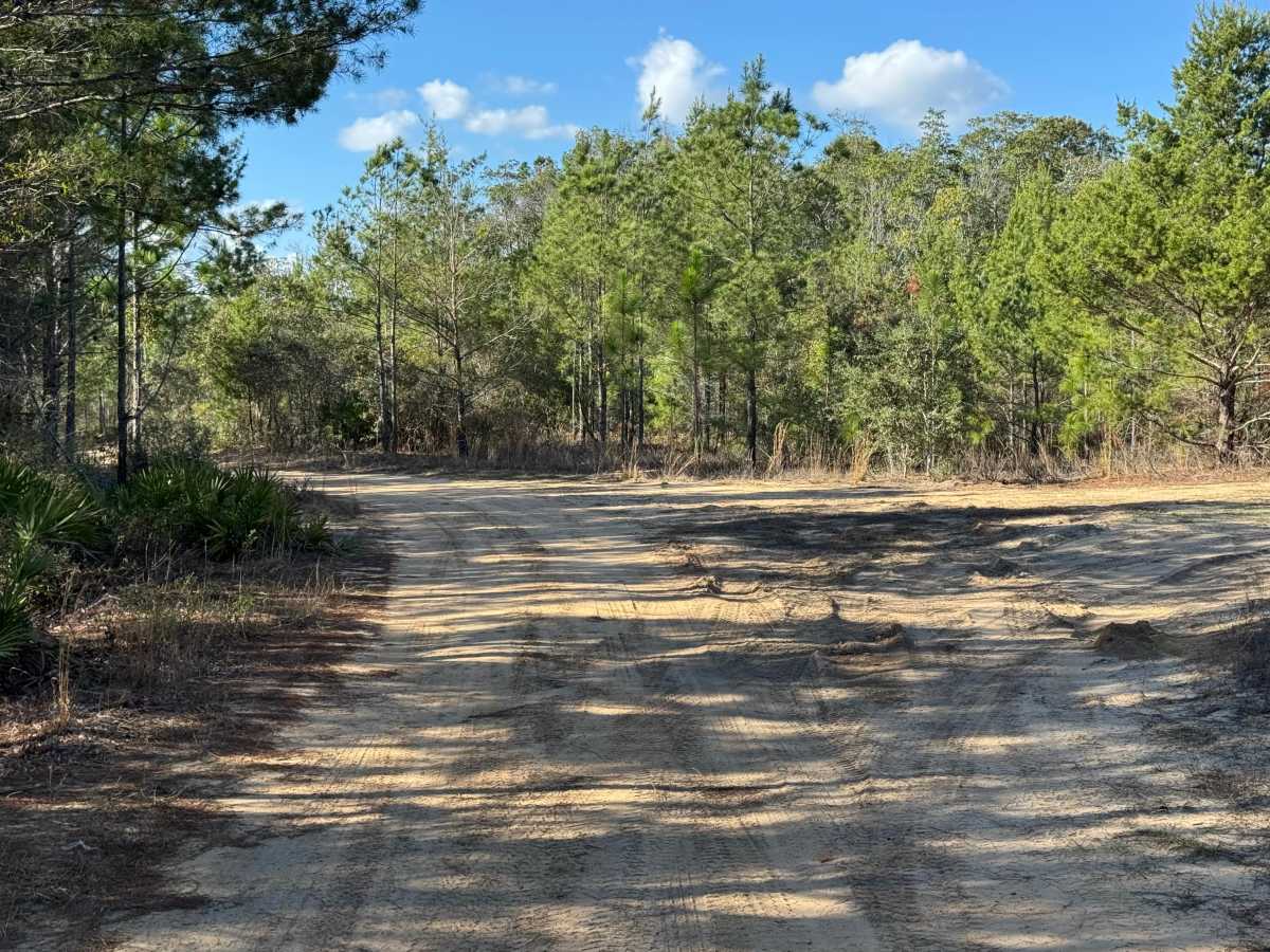 Doe Road photo 5