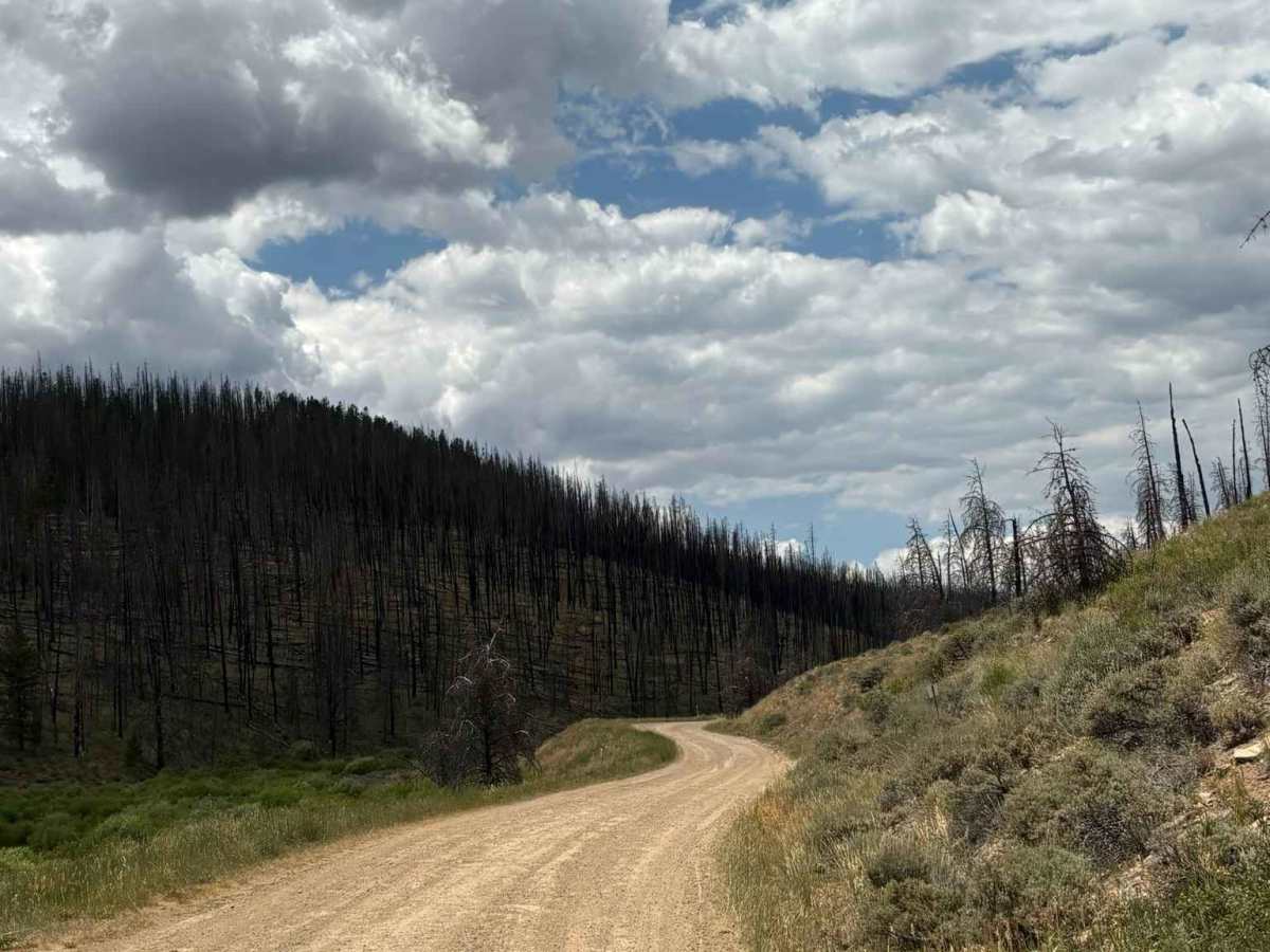 Bill Miller Trailhead Access Road photo 4