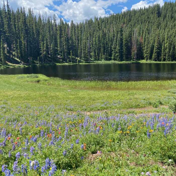 Near Gore Range to Wheeler Lakes