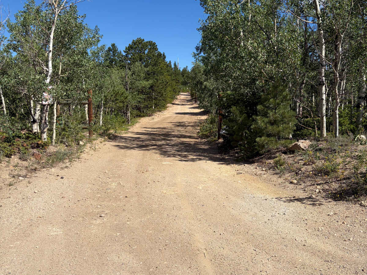 Bellevue Mountain Drive photo 2