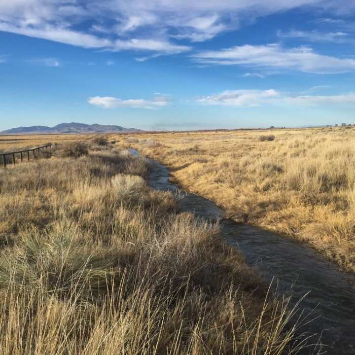 Near Horseshoe Springs Near Horseshoe Springs