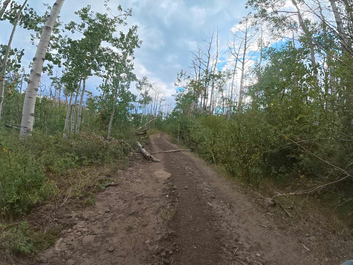 Bug Point Road photo 5