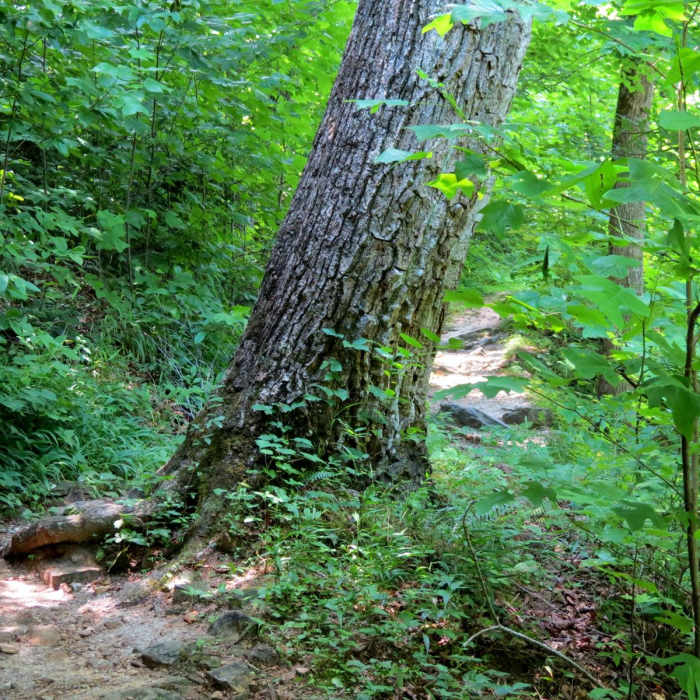 Near Green River Bluffs Trail Loop