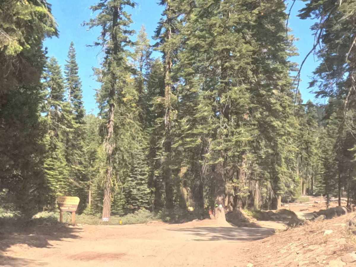 Upper Sky Ranch Road - FS 6S010A photo 4