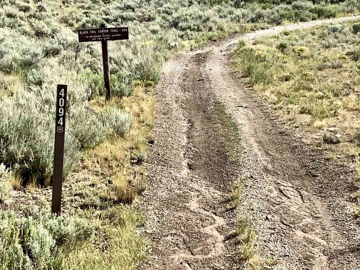 Blacktail/Mud Lake photo 3