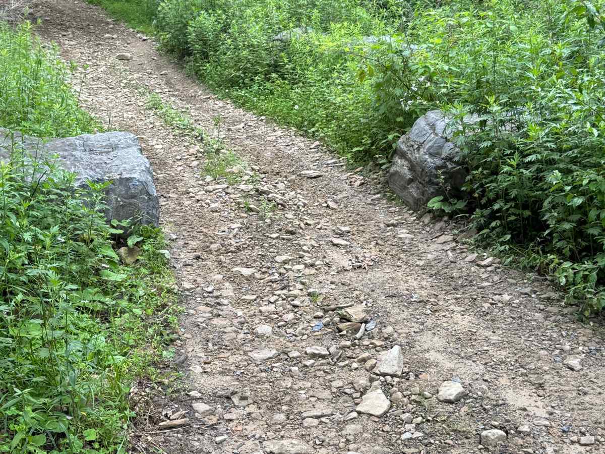 Trail 24 photo 2