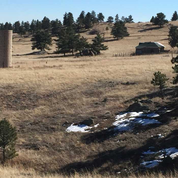 Near Nelson Loop