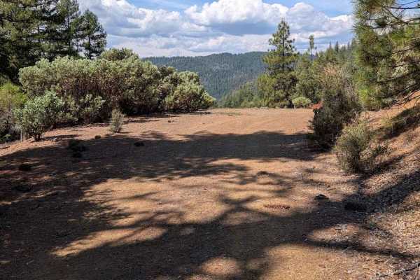 Blue Gulch Road - FS 30N25