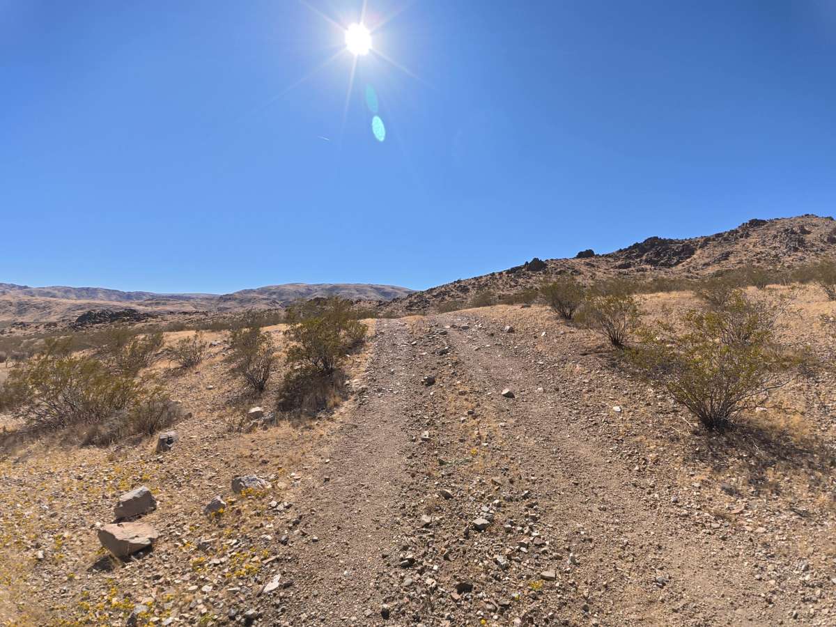 BLM SV2671 photo 4