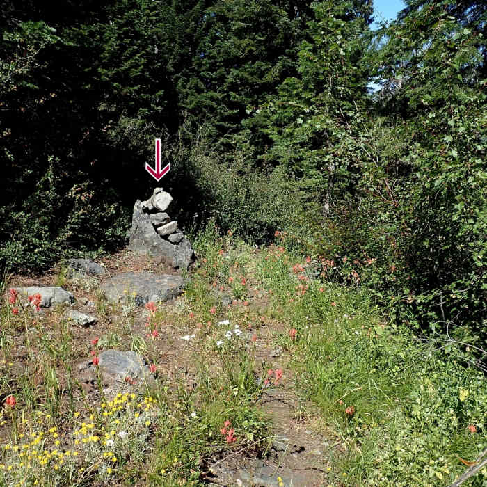 Near Green Valley Trail #904