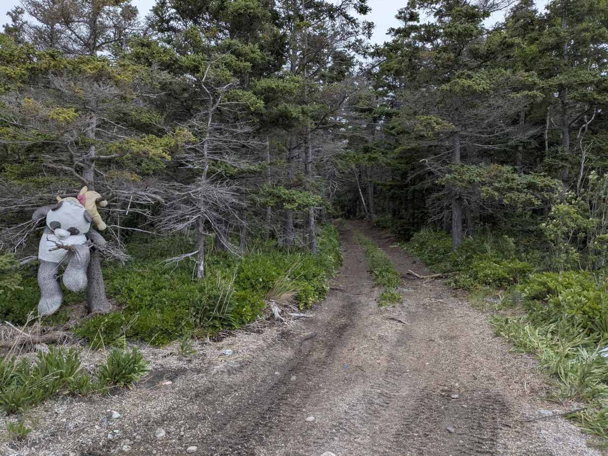 Sandy Point photo 5