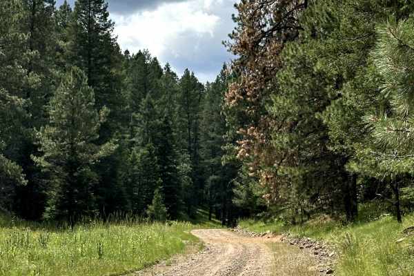 Spring Canyon