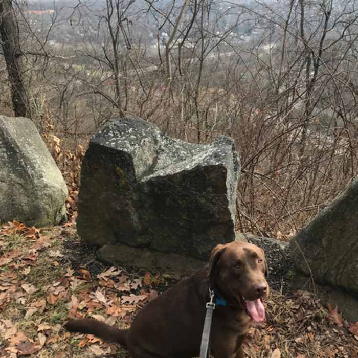 Near Laurance's Ridge Trail
