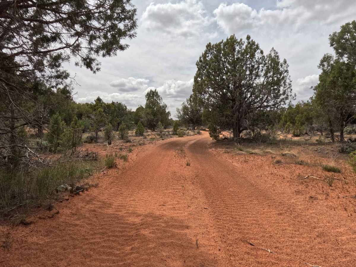 BLM 60C photo 4