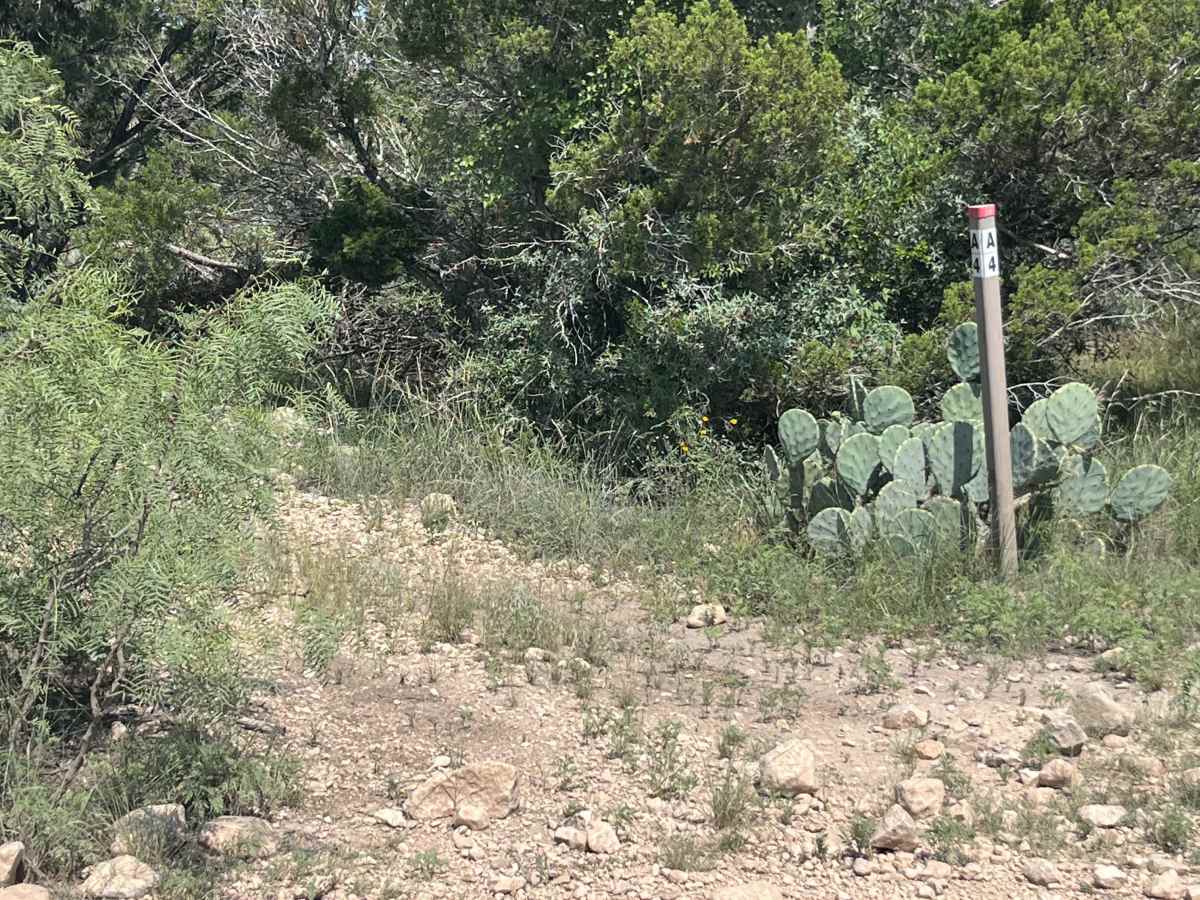 Green Lane - A4 trail photo