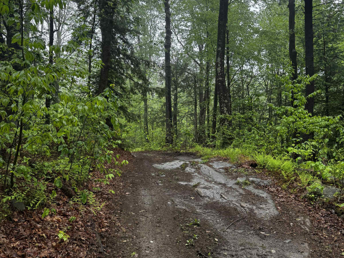 Charles Farnum Road photo 2