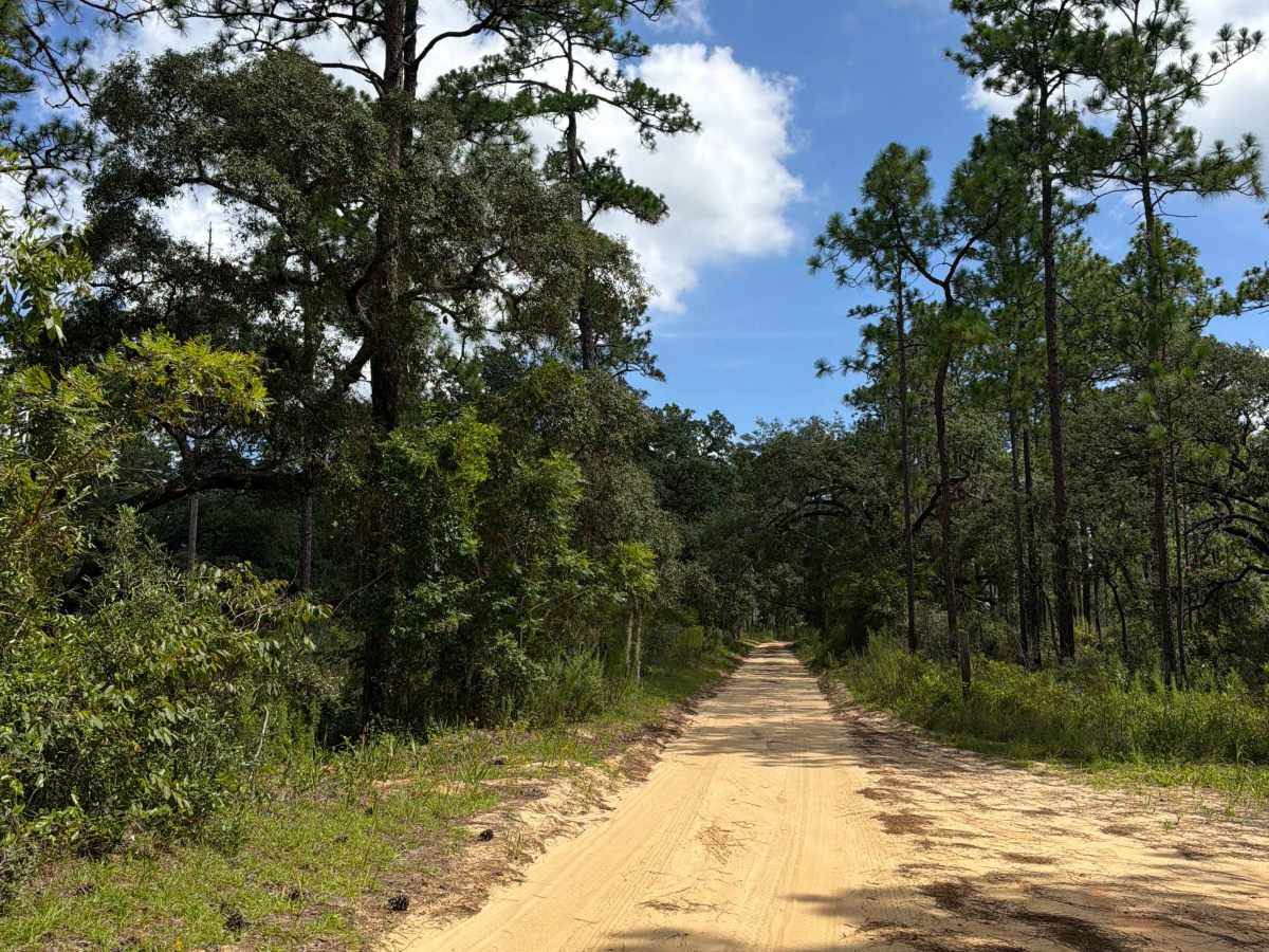 Tomahawk Loop - FS 314A-3.9 photo 2