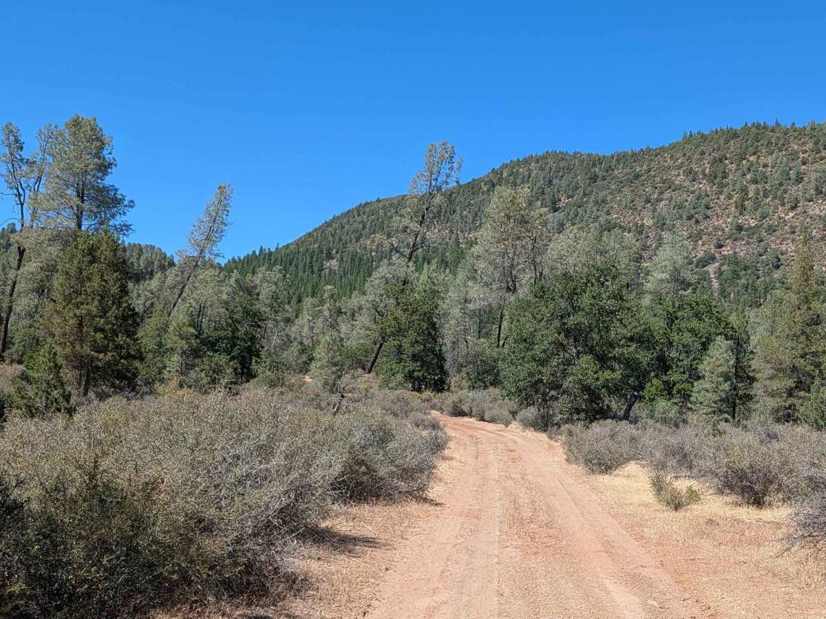 West Fort Mountain - FS 37N02Y trail photo