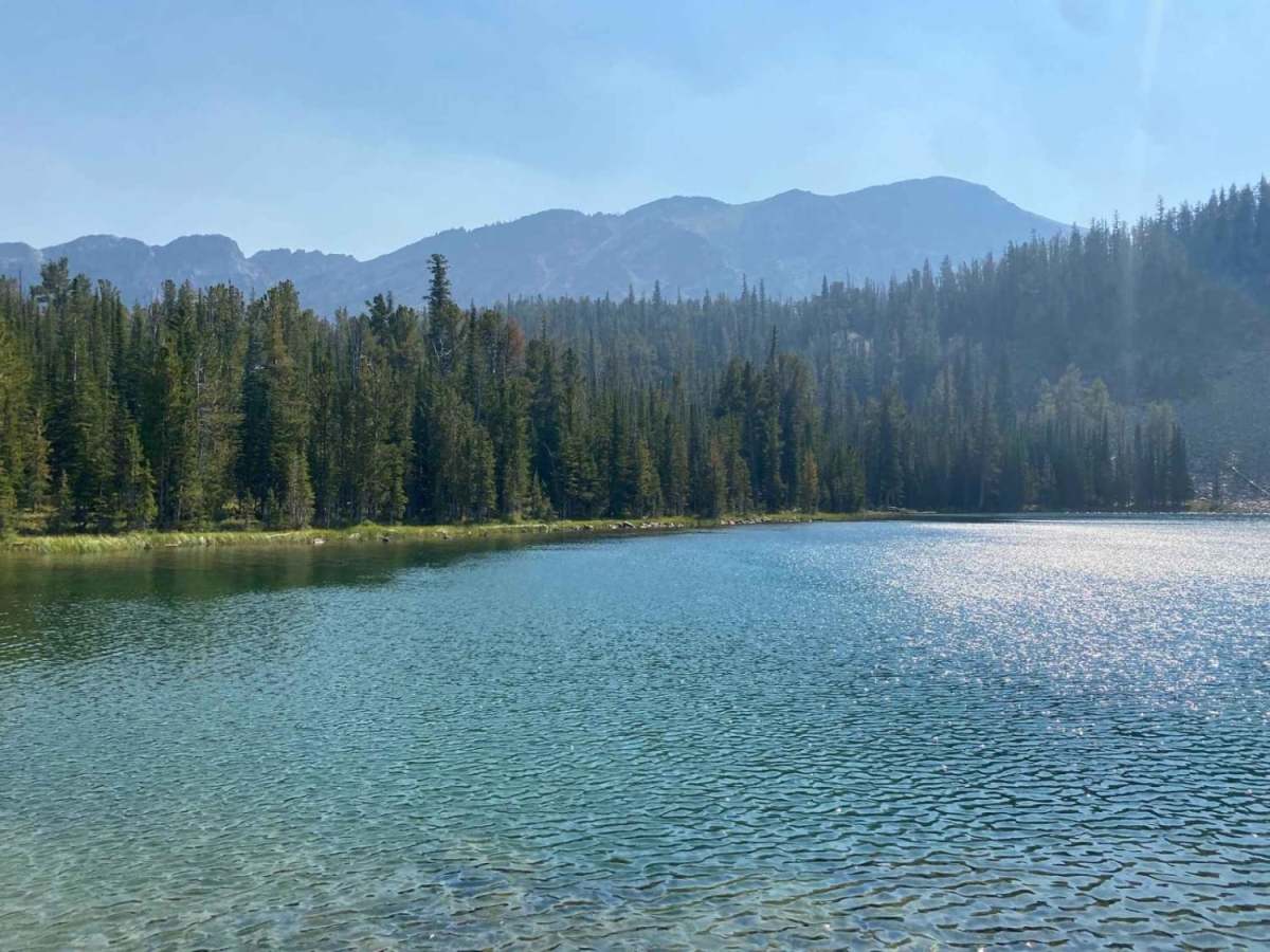 Thompson Lake trail photo