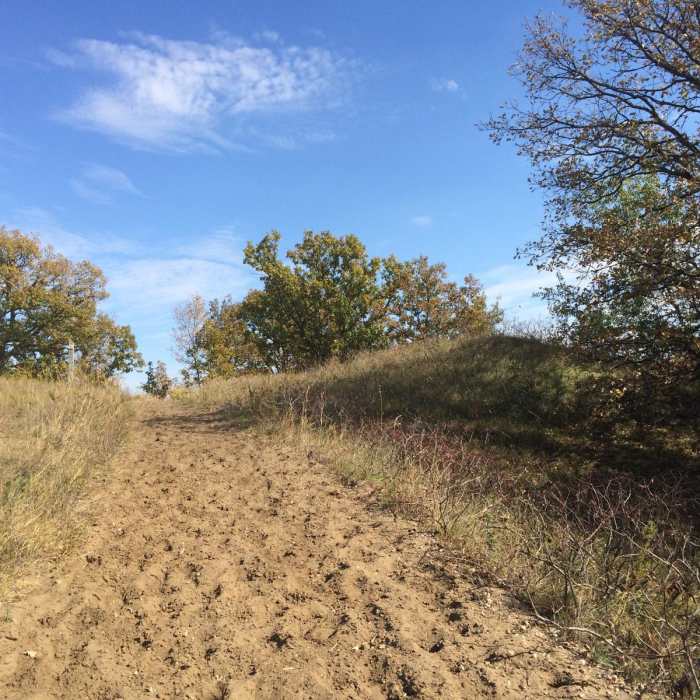 Near Sheyenne National Grassland Near Sheyenne National Grassland