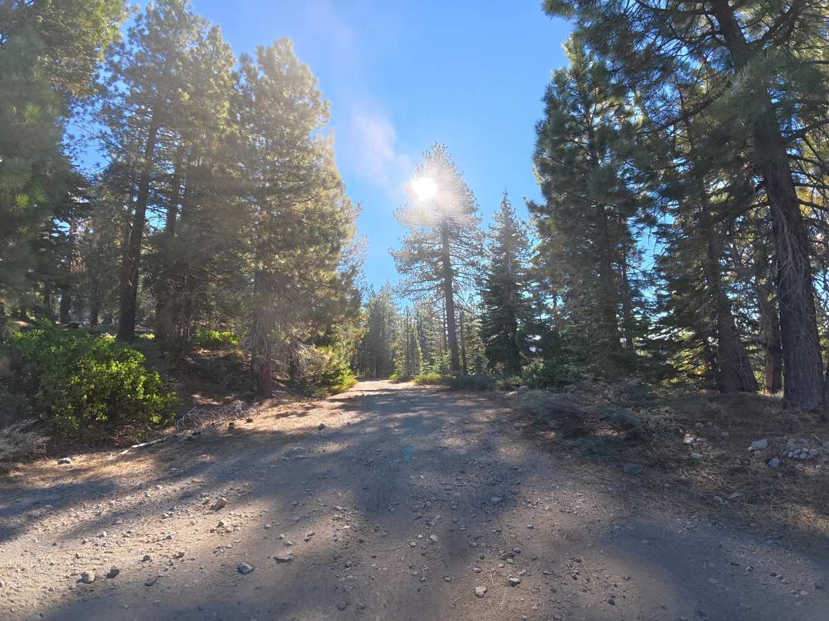 FS 6N08 South trail photo