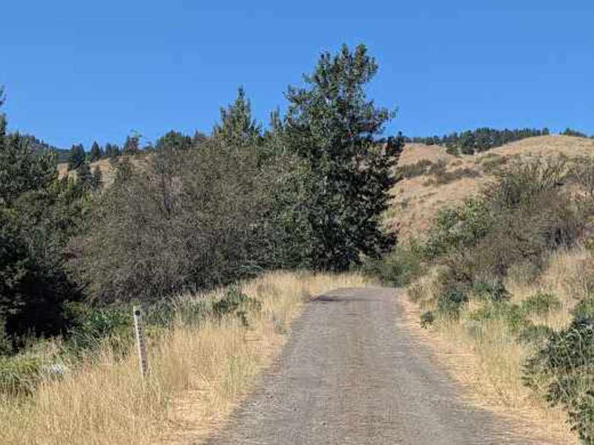 Ingersoll Road photo 4