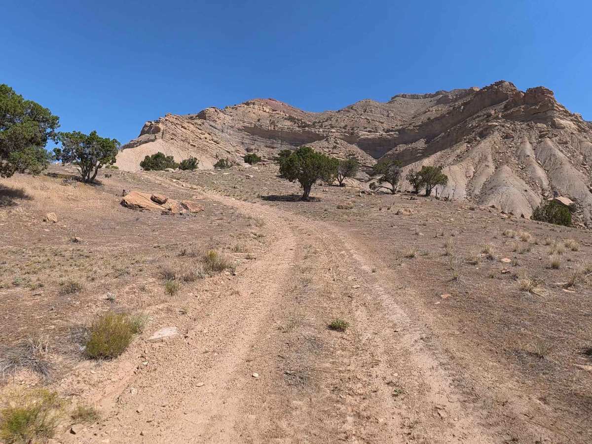BLM 195 trail photo